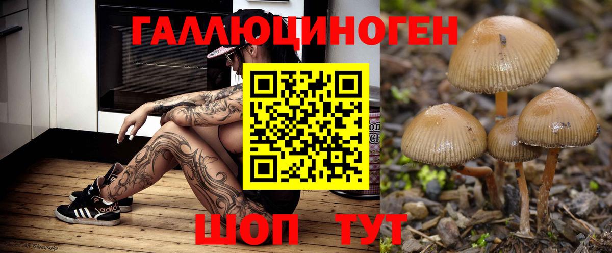 Псилоцибиновые грибы GOLDEN TEACHER  Вход с VPN  Канаш 
